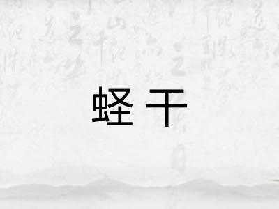 蛏干