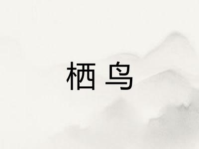 栖鸟
