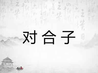 对合子