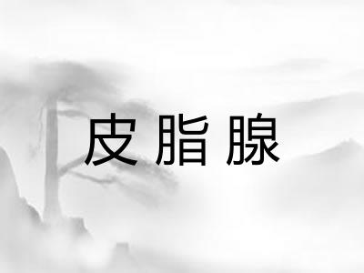皮脂腺