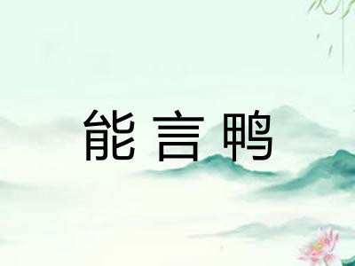 能言鸭