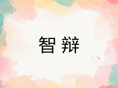 智辩