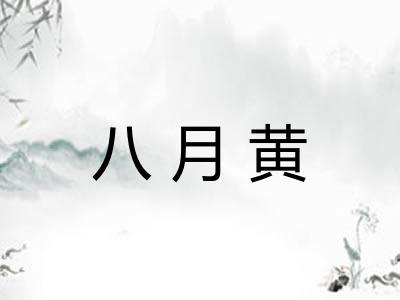 八月黄