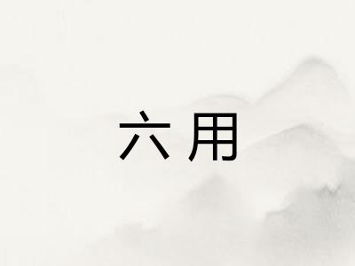 六用