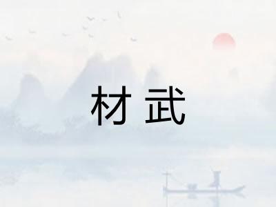 材武