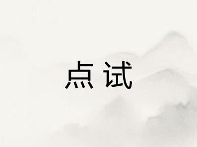 点试