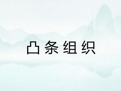 凸条组织