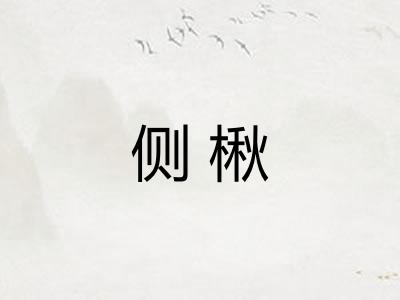 侧楸