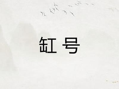 缸号