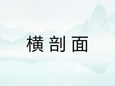 横剖面