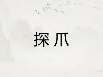 探爪