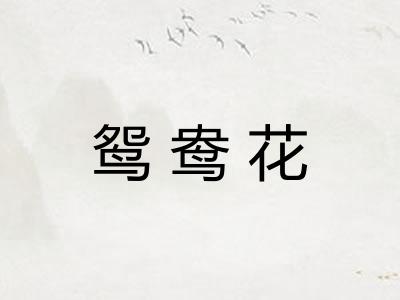 鸳鸯花