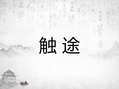 触途