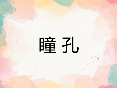 瞳孔