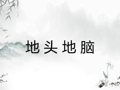 地头地脑