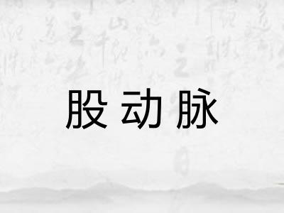 股动脉