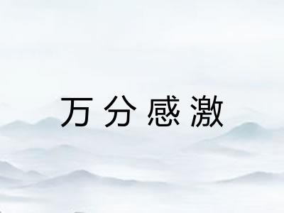 万分感激