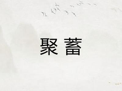 聚蓄