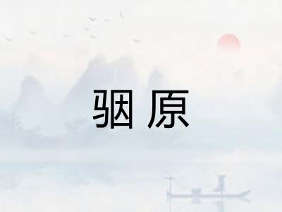 骃原