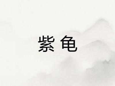 紫龟