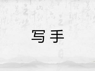 写手