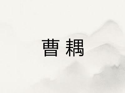 曹耦