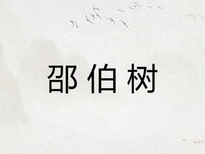 邵伯树