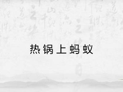 热锅上蚂蚁