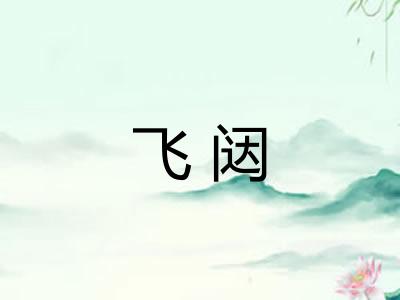 飞闼
