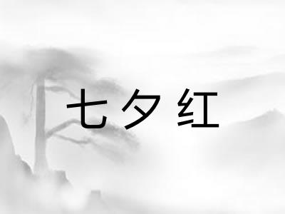 七夕红