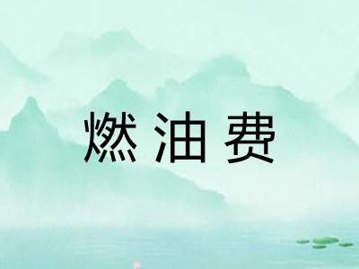 燃油费