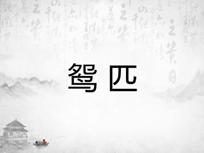 鸳匹