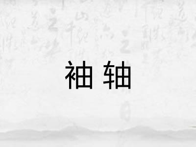 袖轴