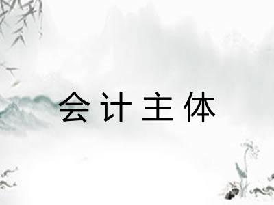 会计主体
