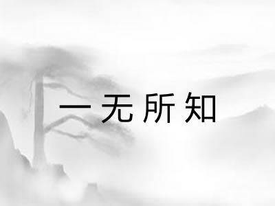 一无所知