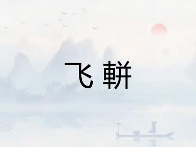 飞軿