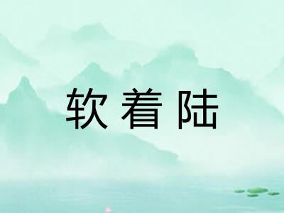 软着陆