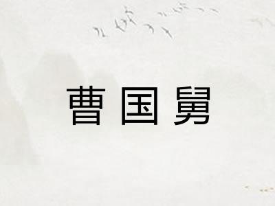 曹国舅