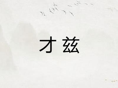 才兹