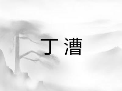 丁漕