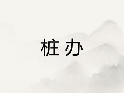 桩办