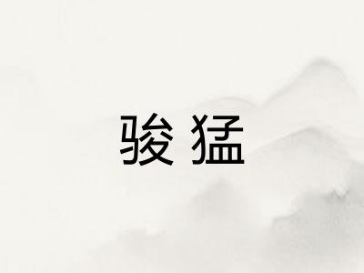 骏猛