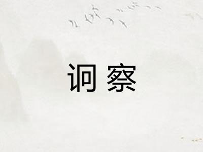诇察