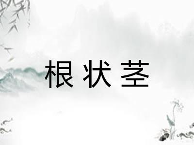 根状茎