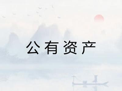 公有资产