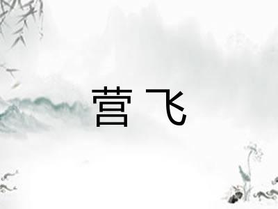 营飞