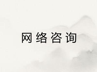 网络咨询