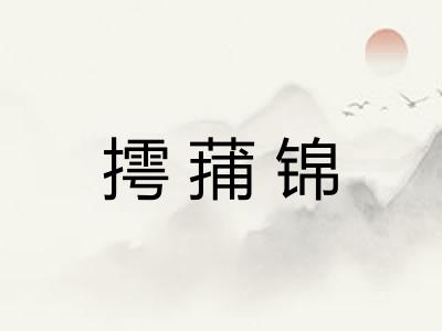 摴蒱锦