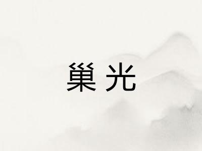 巢光