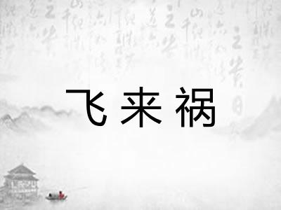 飞来祸